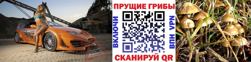 Галлюциногенные грибы мицелий  хочу   Ангарск 
